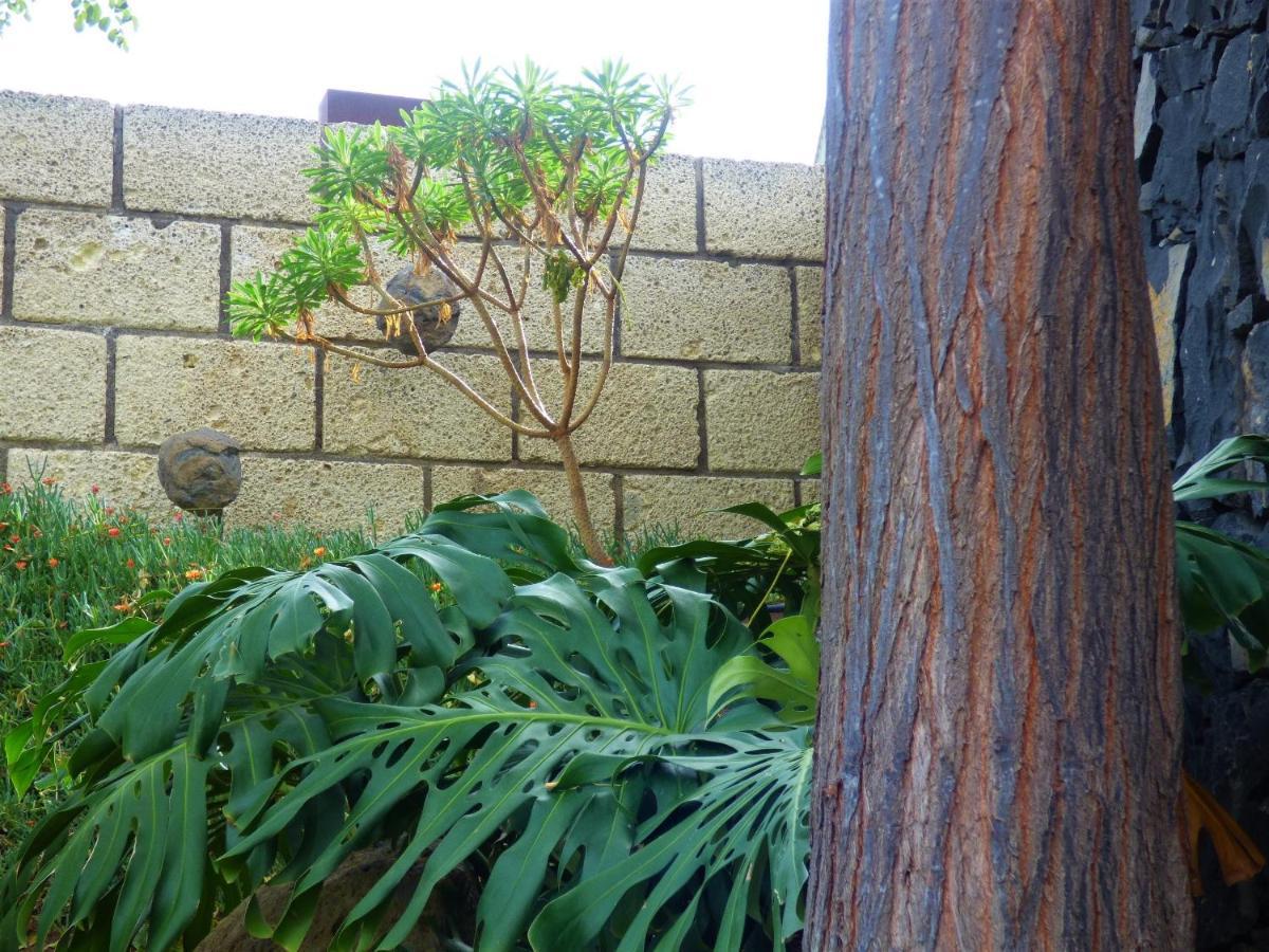 Eco Suites Caves La Laguna  Eksteriør billede
